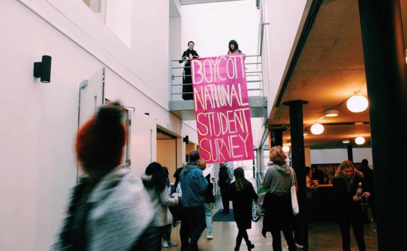 Academic staff must stand in solidarity with each other to make the NSS boycott effective